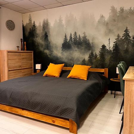 Apartmany V Centre - Vlastna Izba So Spolocnou Kuchynou A Kupelnou Moze Byt Zdielana 2 Inymi Izbami Martin Dış mekan fotoğraf