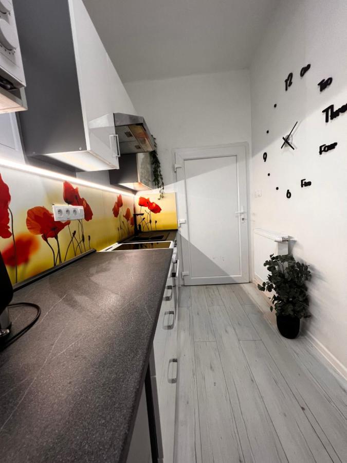 Apartmany V Centre - Vlastna Izba So Spolocnou Kuchynou A Kupelnou Moze Byt Zdielana 2 Inymi Izbami Martin Dış mekan fotoğraf