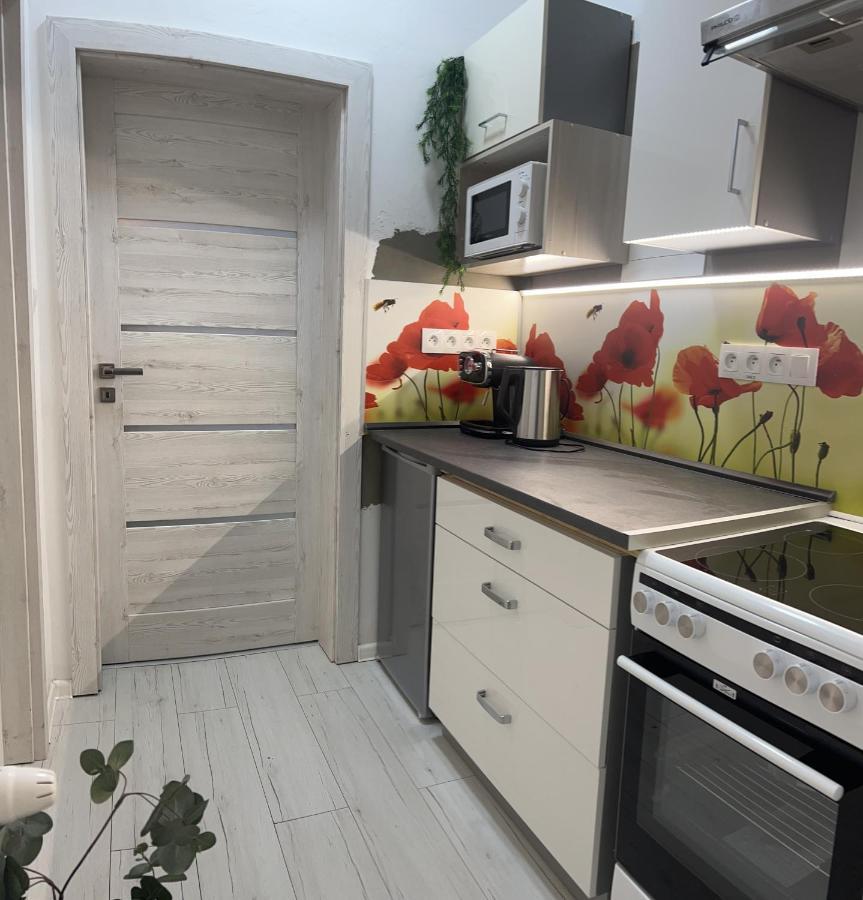 Apartmany V Centre - Vlastna Izba So Spolocnou Kuchynou A Kupelnou Moze Byt Zdielana 2 Inymi Izbami Martin Dış mekan fotoğraf