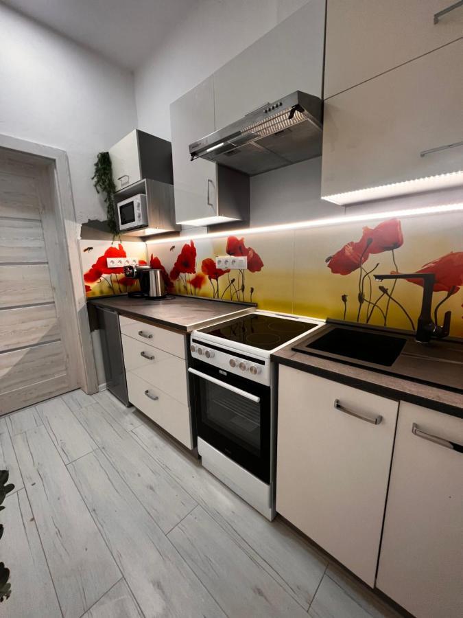 Apartmany V Centre - Vlastna Izba So Spolocnou Kuchynou A Kupelnou Moze Byt Zdielana 2 Inymi Izbami Martin Dış mekan fotoğraf